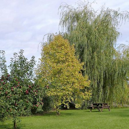 The Willows Ξενοδοχείο Wincanton Εξωτερικό φωτογραφία