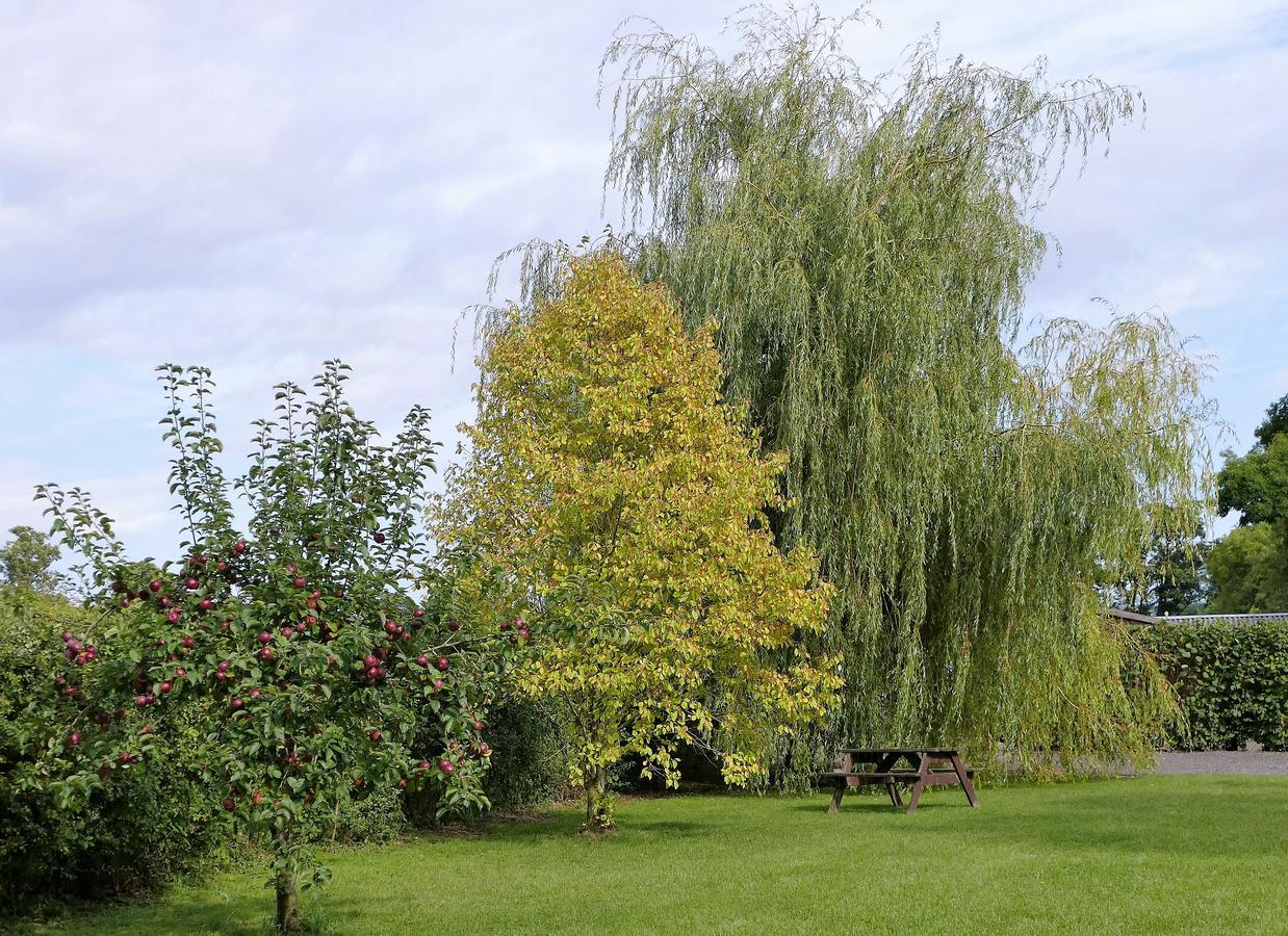 The Willows Ξενοδοχείο Wincanton Εξωτερικό φωτογραφία